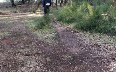 Visita al Parque Forestal Dehesa de Doña María – Investigación de necesidades